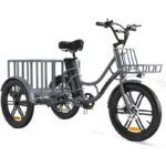 Електровелосипед триколісний ELEKGO EGO03 250W 48V 18Ah 20″