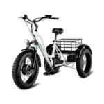 Електровелосипед триколісний Grizzly M5 700W 36V 15Ah (20″ E-Trike)