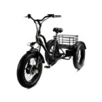 Електровелосипед триколісний Grizzly M5 700W 36V 15Ah (20″ E-Trike) - Зображення 6