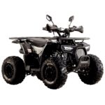 Квадроцикл SPARK SP125-9