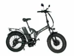 Електрофетбайк E-motions Fat 20 All Mountain Double 2 1000W 48V 18Ah (20×4″, повний привід)