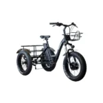 Триколісний електрофетбайк EBIKE TRIKE 20 1000W 48V (20×4″) вантажний LCD PAS