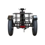 Триколісний електрофетбайк EBIKE TRIKE 20 1000W 48V (20×4″) вантажний LCD PAS - Зображення 10